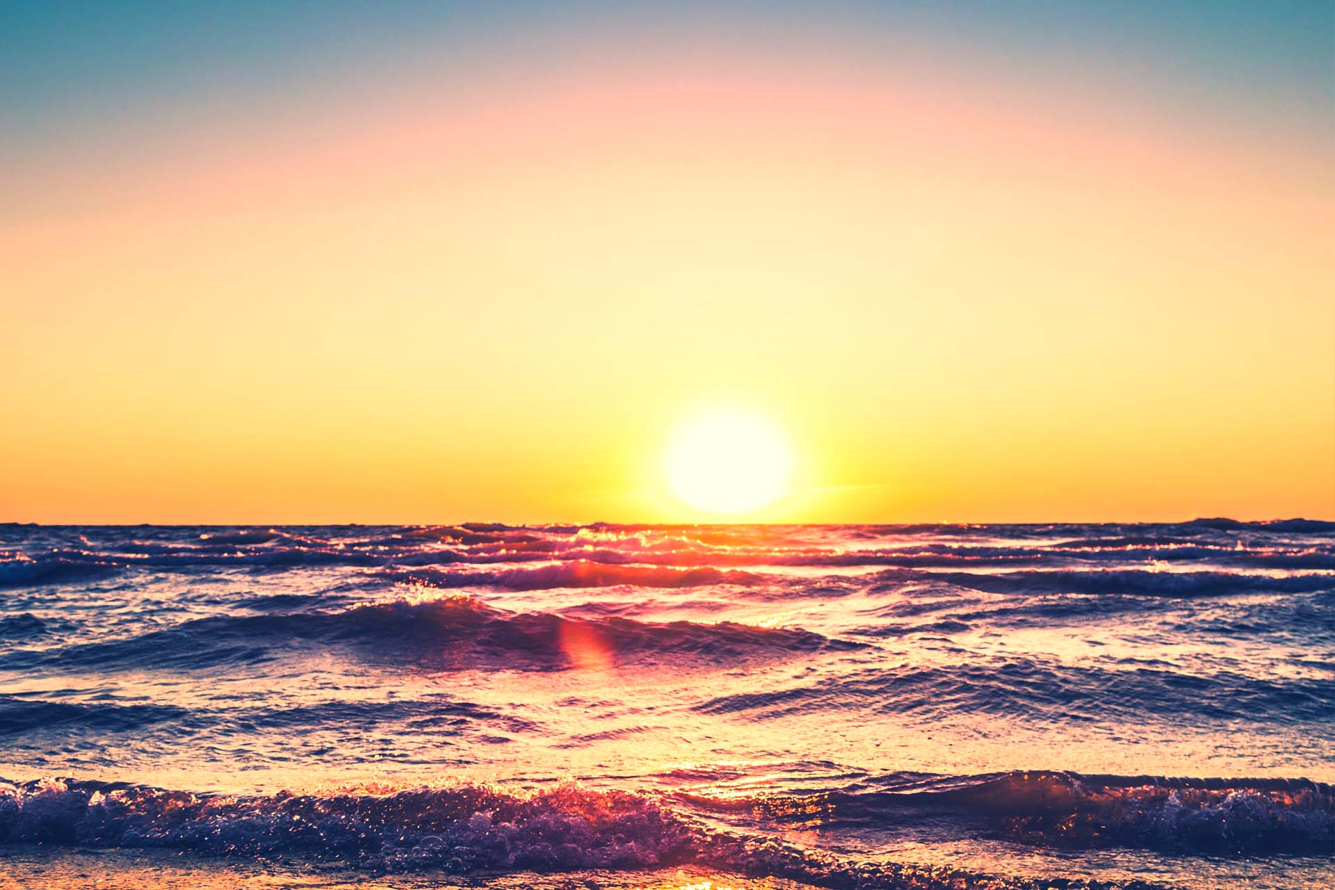 About Sunrise Credit Services, Inc.